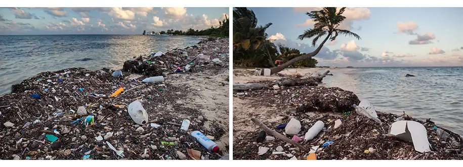 trash and plastic jugs along a beach
